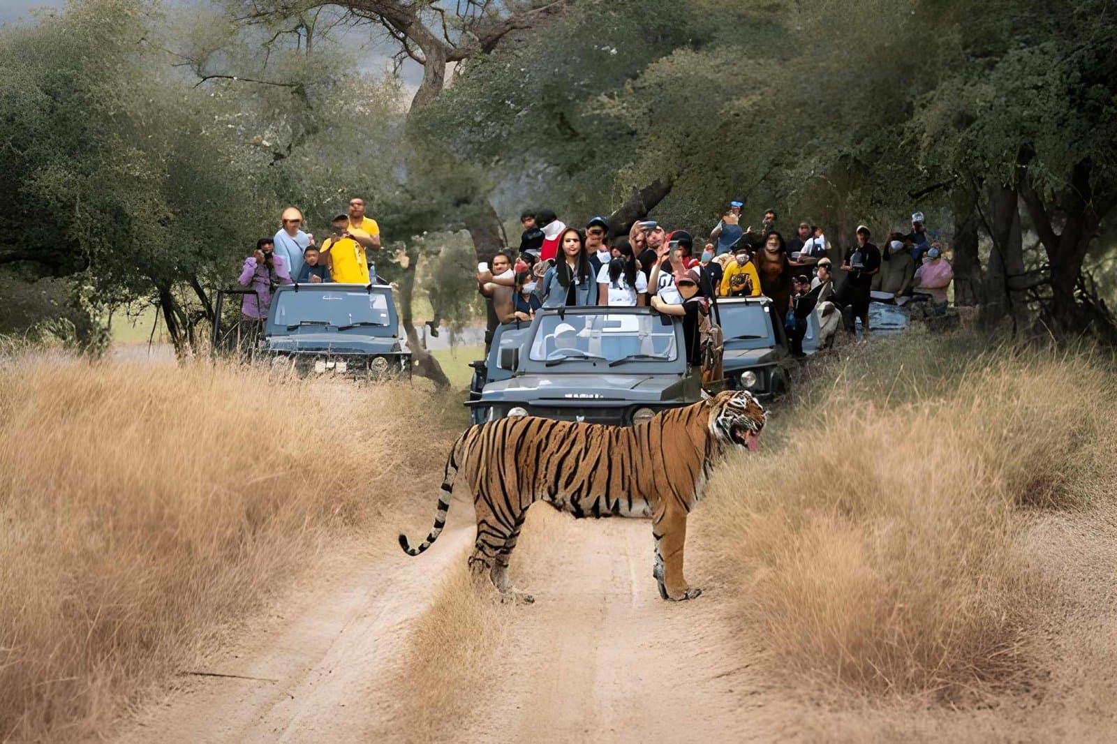 Ranthambore